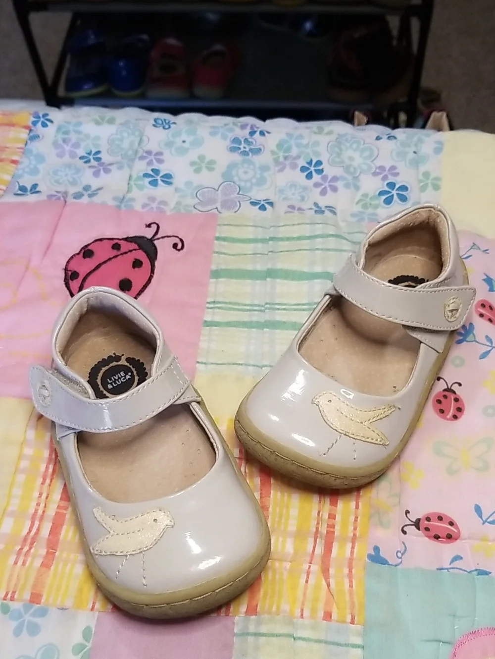 Livie & Luca Grey Patent Leather Mary Janes with Bird Applique Size 7 Pio Pio